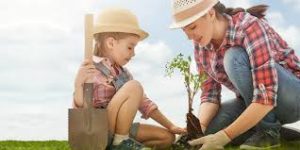 planting a tree